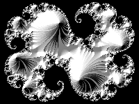 Multi-Embossed Julia, Smallest Mag.jpg